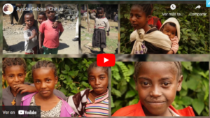 Video Ayuda Proyecto Gebisa-Chituu